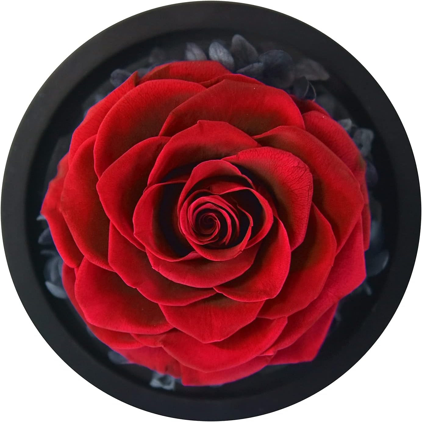Forever Preserved Real Red Rose in Glass Dome | Birthday Gift for Women, Valentine'S Day, Mother'S Day, Christmas, Anniversary