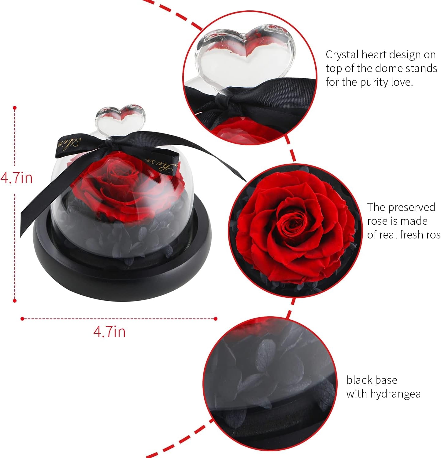 Forever Preserved Real Red Rose in Glass Dome | Birthday Gift for Women, Valentine'S Day, Mother'S Day, Christmas, Anniversary